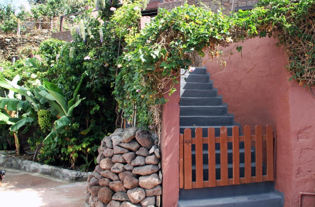 Tonono'S Village Santa Maria de Guia de Gran Canaria Екстериор снимка