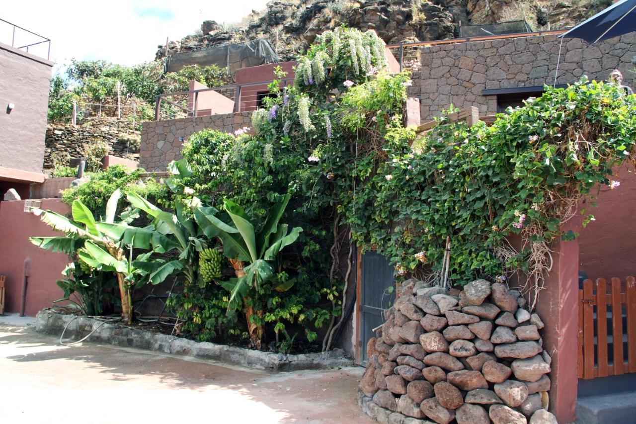 Tonono'S Village Santa Maria de Guia de Gran Canaria Екстериор снимка
