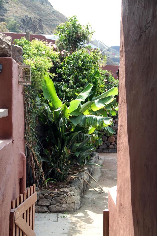 Tonono'S Village Santa Maria de Guia de Gran Canaria Екстериор снимка