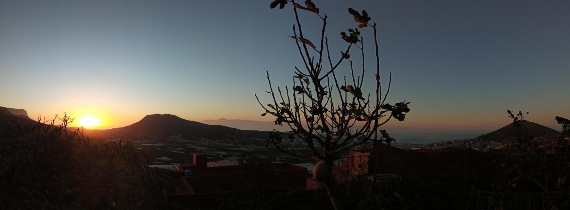 Tonono'S Village Santa Maria de Guia de Gran Canaria Екстериор снимка