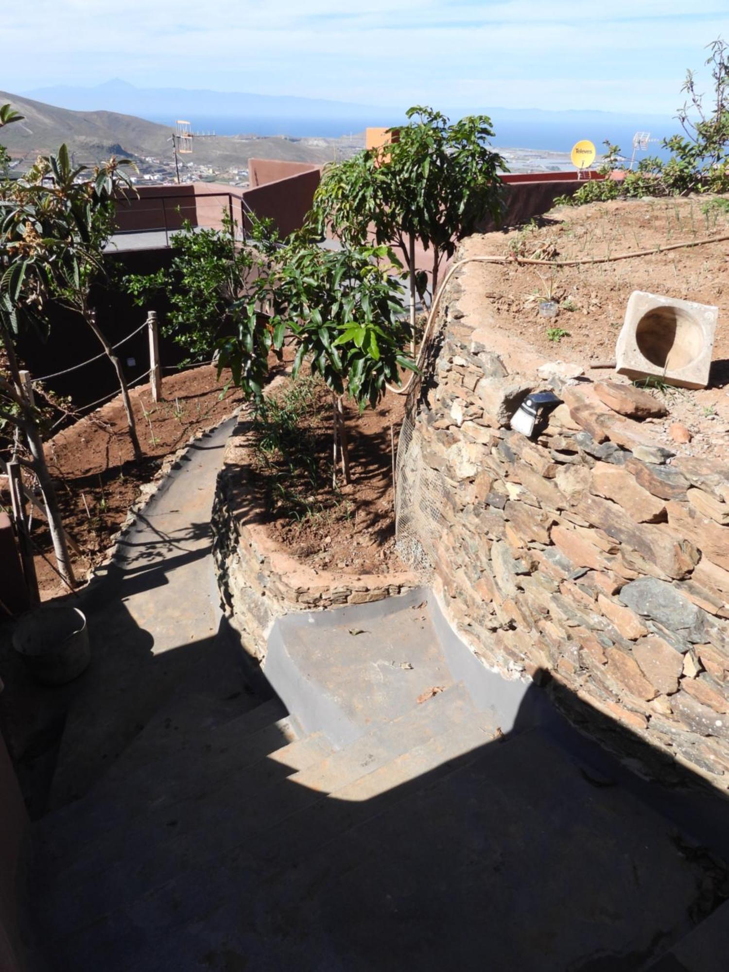 Tonono'S Village Santa Maria de Guia de Gran Canaria Екстериор снимка