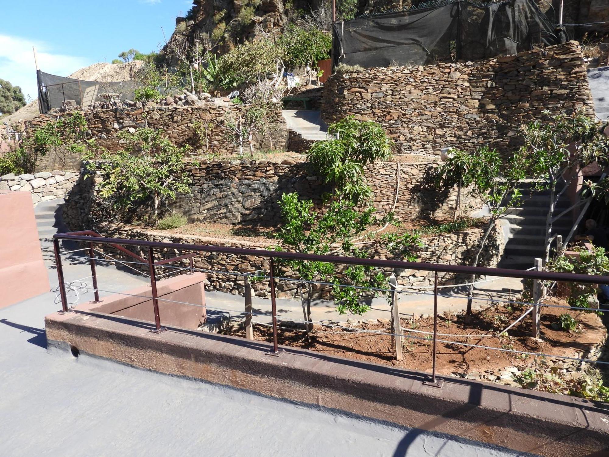 Tonono'S Village Santa Maria de Guia de Gran Canaria Екстериор снимка